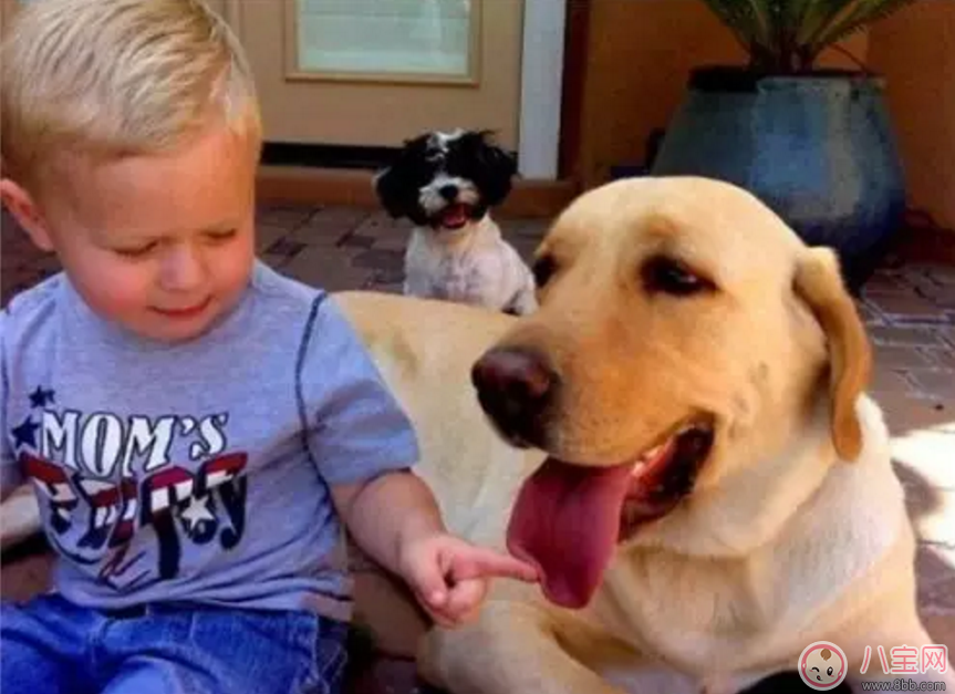 寶寶意外受傷怎么辦 如何避免破傷風(fēng)