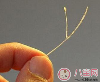 寶寶吃魚(yú)卡魚(yú)刺 急著自己去夾刺就大錯(cuò)特錯(cuò)了 寶寶吃魚(yú)卡魚(yú)刺 急著自己去夾刺就大錯(cuò)特錯(cuò)了