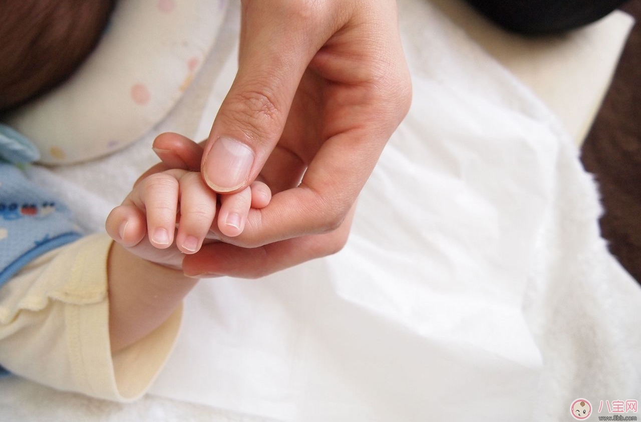 給寶寶剪指甲如何避免錯誤 如何正確的給寶寶剪指甲 給寶寶剪指甲如何避免錯誤 如何正確的給寶寶剪指甲
