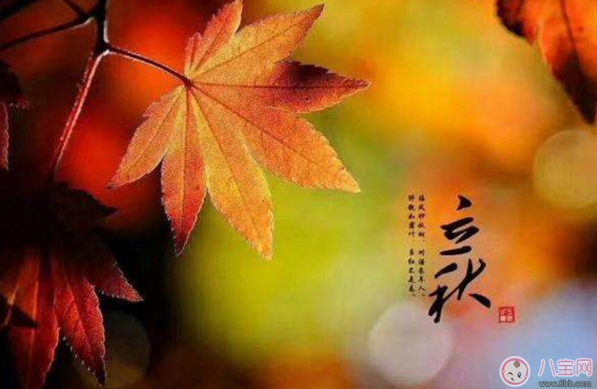 嬰兒立秋后注意哪些措施 嬰兒立秋后的注意事項有哪些 嬰兒立秋后注意哪些措施 嬰兒立秋后的注意事項有哪些