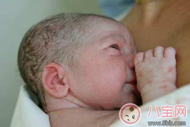 新生兒鼻尖上起了好多小白點是什么 寶寶鼻子上有小白點