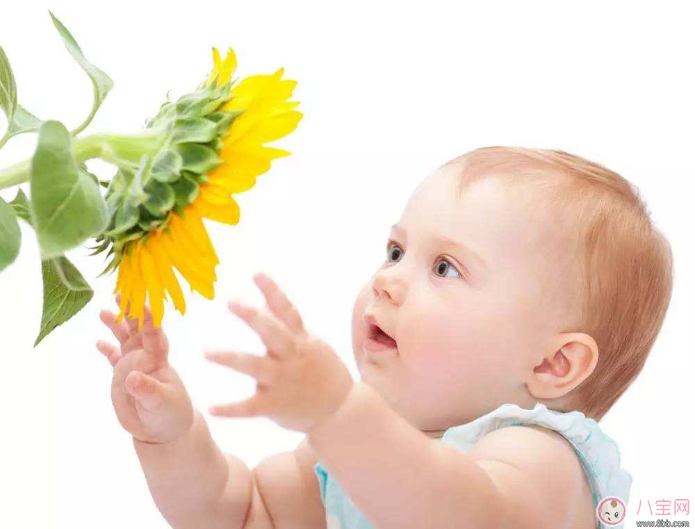 寶寶食物過敏癥狀 寶寶食物過敏如何處理