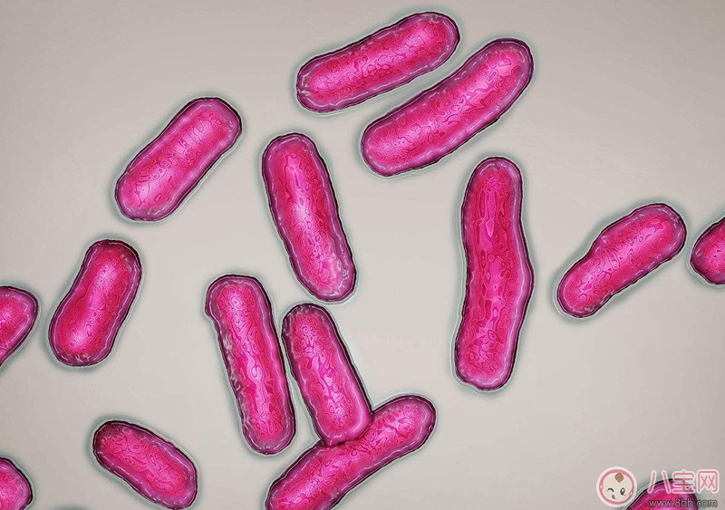 嬰兒沙門氏菌中毒的原因 如何預(yù)防寶寶感染沙門氏菌 嬰兒沙門氏菌中毒的原因 如何預(yù)防寶寶感染沙門氏菌