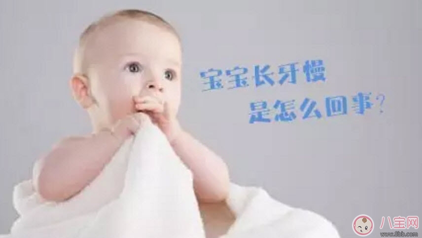 寶寶長(zhǎng)牙慢是缺鈣嗎 寶寶長(zhǎng)牙與補(bǔ)鈣的關(guān)系