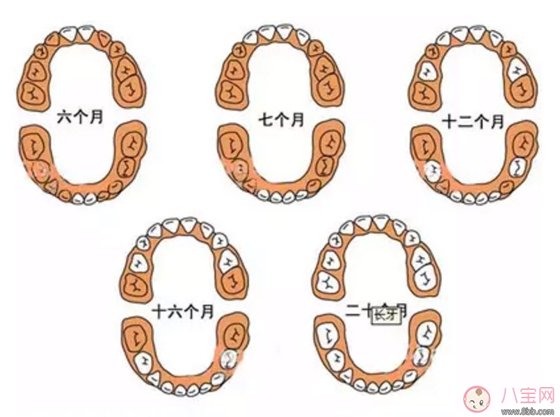 寶寶長(zhǎng)牙慢是缺鈣嗎 寶寶長(zhǎng)牙與補(bǔ)鈣的關(guān)系