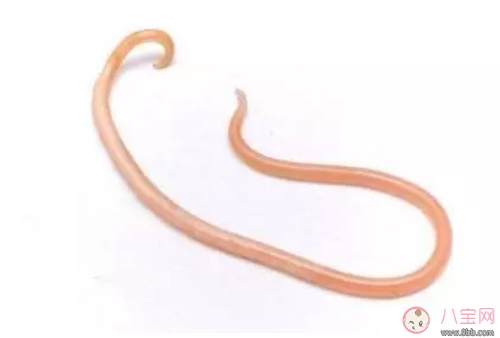 怎么判斷寶寶有沒有蛔蟲 寶寶蛔蟲病的癥狀有哪些