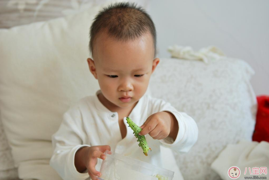 生長痛這樣做就不痛了 生長痛怎么做可以緩解 生長痛這樣做就不痛了 生長痛怎么做可以緩解