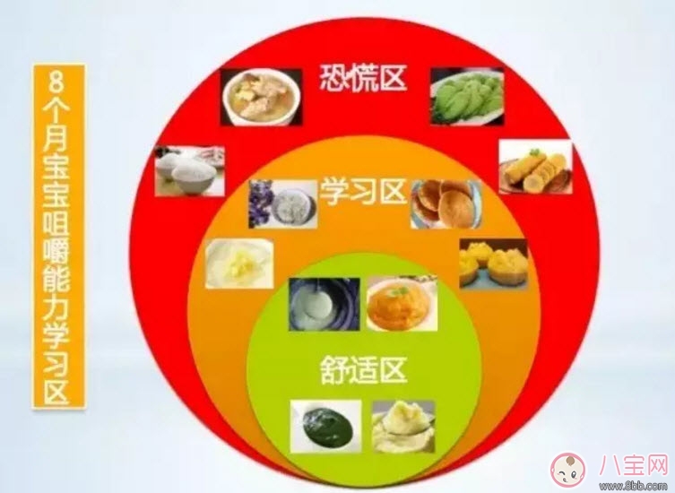 寶寶咀嚼能力差怎么辦 寶寶咀嚼能力怎么訓(xùn)練 寶寶咀嚼能力差怎么辦 寶寶咀嚼能力怎么訓(xùn)練