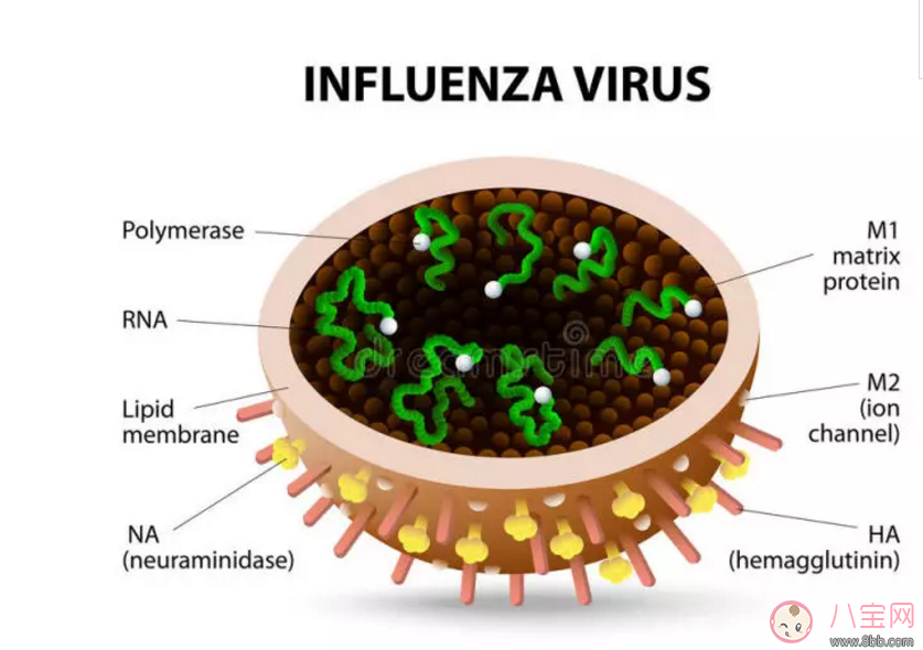 香港流感爆發(fā) 如何預(yù)防流感 香港流感爆發(fā) 如何預(yù)防流感