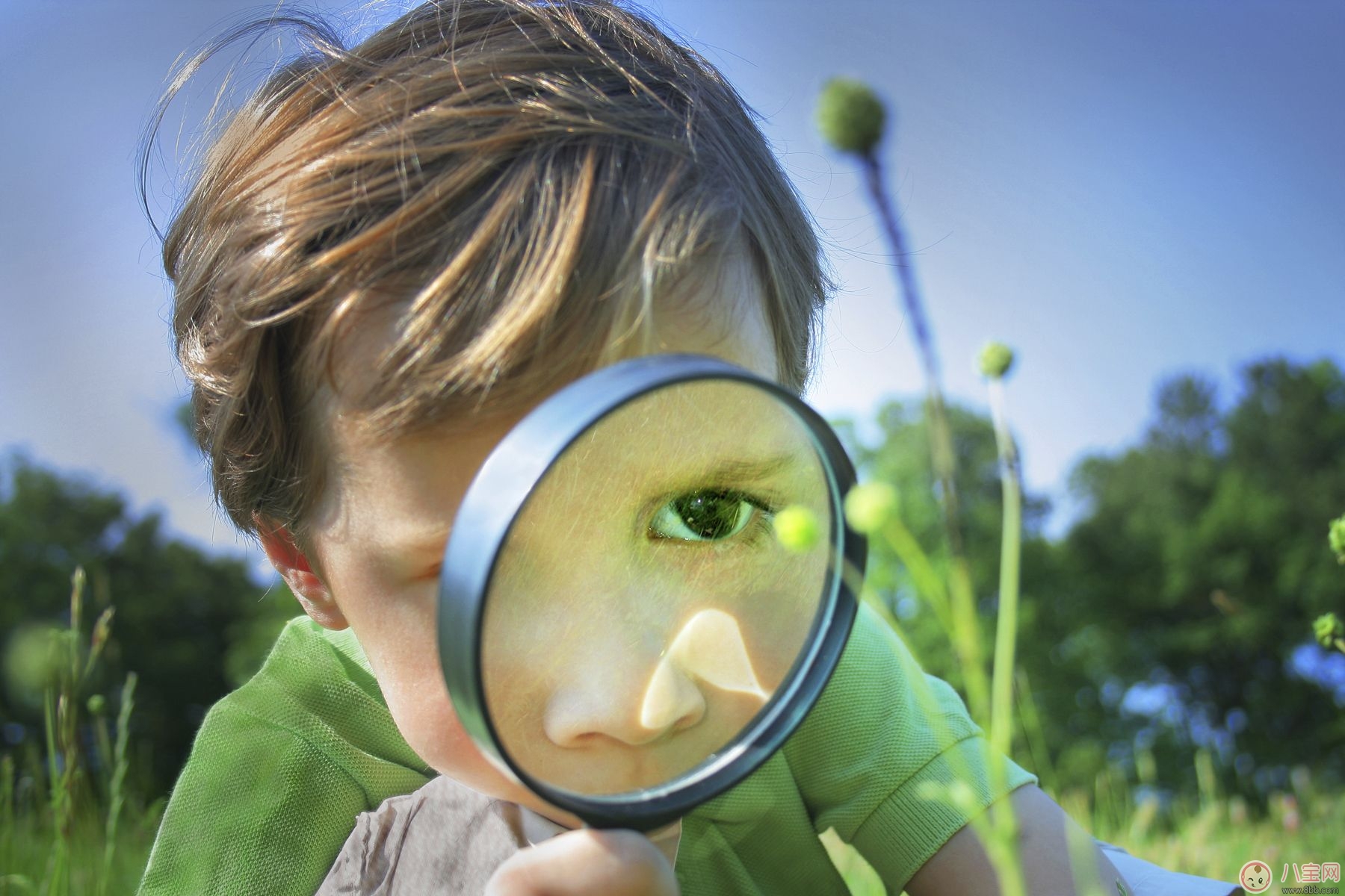 寶寶嗅覺、味覺發(fā)育及訓(xùn)練方法