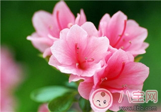 產(chǎn)后腰酸背痛的原因 如何緩解癥狀 產(chǎn)后腰酸背痛的原因 如何緩解癥狀