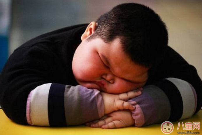 小孩肥胖的危害有哪些 2017兒童肥胖問題大全 小孩肥胖的危害有哪些 2017兒童肥胖問題大全
