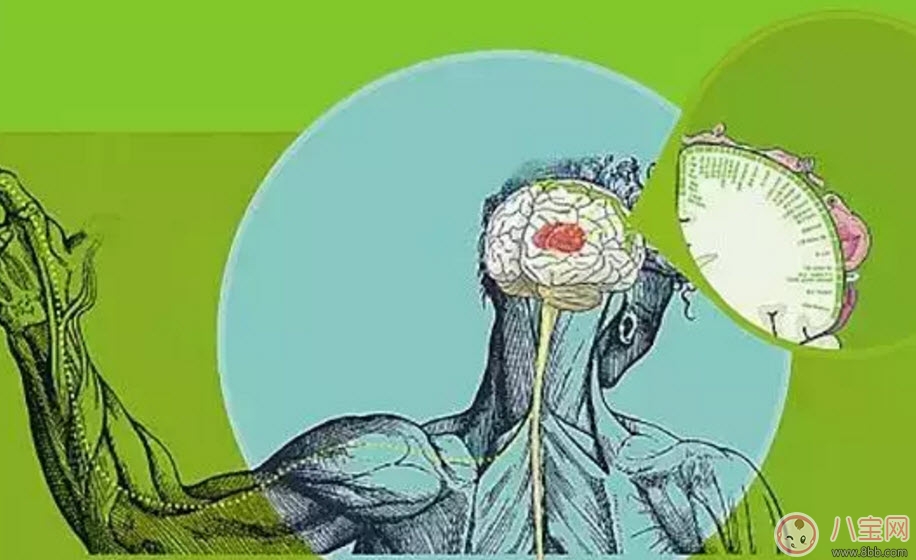 孩子觸覺(jué)遲鈍怎么辦 寶寶觸覺(jué)遲鈍訓(xùn)練方法有哪些 孩子觸覺(jué)遲鈍怎么辦 寶寶觸覺(jué)遲鈍訓(xùn)練方法有哪些