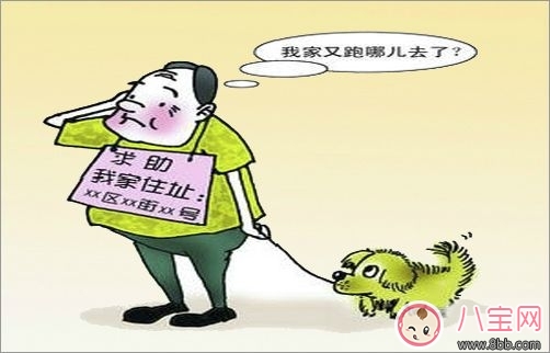 如何降低癡呆風(fēng)險(xiǎn) 日常生活應(yīng)該怎么做 如何降低癡呆風(fēng)險(xiǎn) 日常生活應(yīng)該怎么做