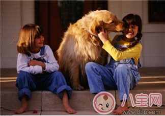 寵物攻擊性測(cè)試方法 寶寶被寵物咬傷的正確處理  