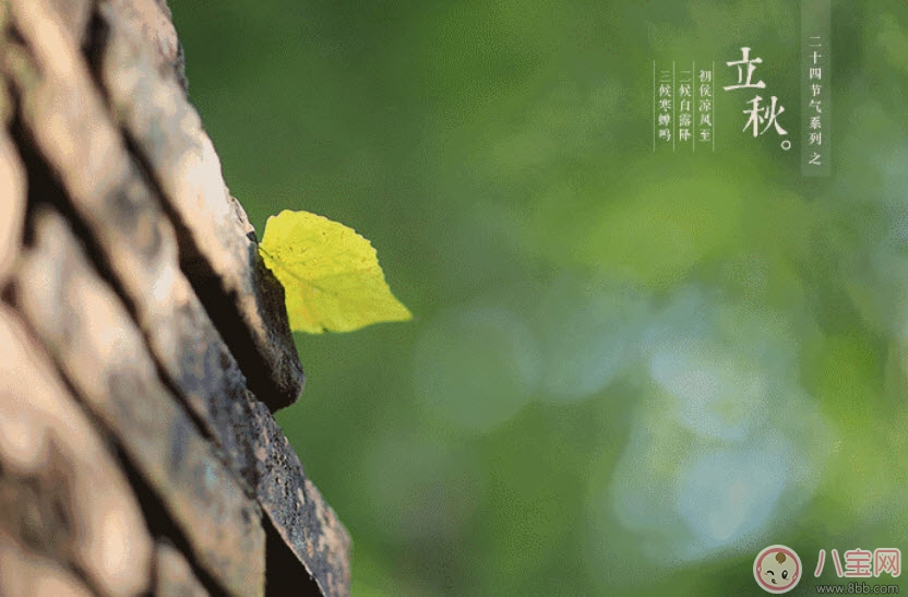 立秋之后寶寶還能吹空調嗎 立秋后寶寶如何健康的吹空調