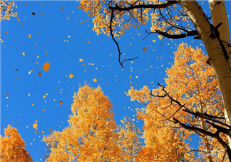 如何預(yù)防嬰幼兒秋燥癥  寶寶秋燥癥怎么吃