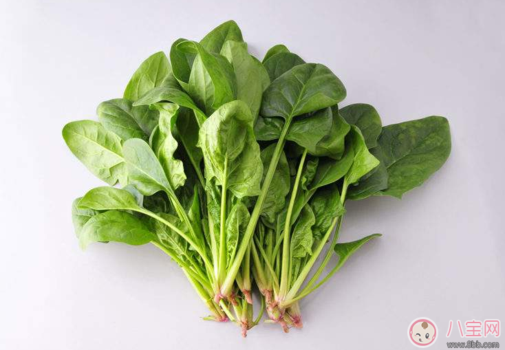 寶寶抵抗力不好怎么提高 快來(lái)看看這篇文章