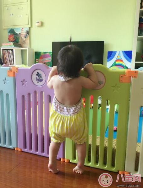 趙文卓luna寶寶學會走路 孩子走路怎么教