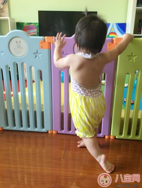 趙文卓luna寶寶學會走路 孩子走路怎么教