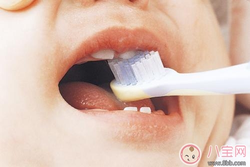 寶寶長牙牙痛 選用天然舒緩方法