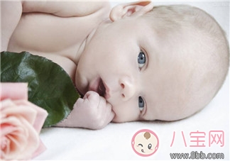 新生兒肺部有問題 可能是因為媽媽太胖