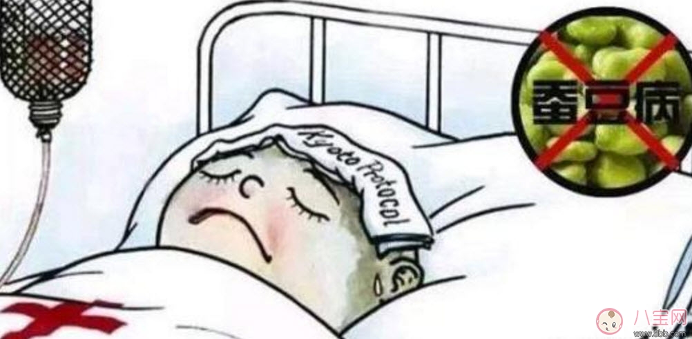 什么是蠶豆病 新生兒蠶豆病有哪些癥狀 什么是蠶豆病 新生兒蠶豆病有哪些癥狀