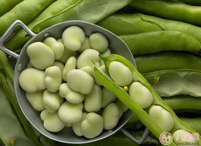 什么是蠶豆病 新生兒蠶豆病有哪些癥狀 什么是蠶豆病 新生兒蠶豆病有哪些癥狀