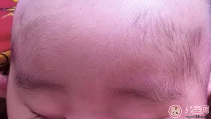 寶寶胎毛什么時(shí)候掉 寶寶胎發(fā)什么時(shí)候剃