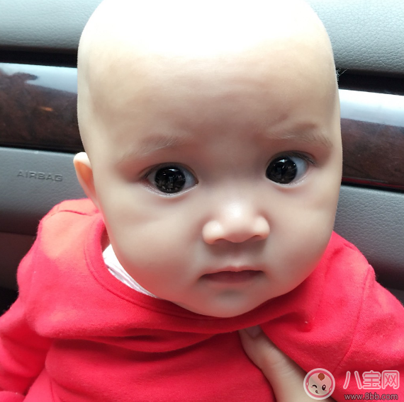 孩子夏天剃光頭 小心一不小心變禿頭 孩子夏天剃光頭 小心一不小心變禿頭