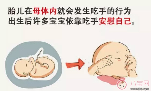 寶寶吃手怎么辦 寶寶吃手指的原因(寶寶吃手指還有這些好處) 寶寶吃手怎么辦 寶寶吃手指的原因(寶寶吃手指還有這些好處)