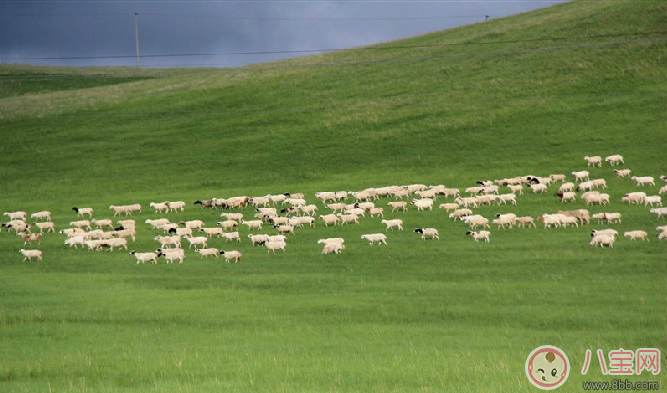 田亮森碟現(xiàn)身機場出行游玩 一家人出行需要準備什么