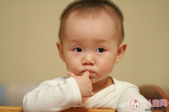 2歲寶寶不吃肉怎么辦 兩歲多的寶寶做什么肉(豆腐燉牛肉) 2歲寶寶不吃肉怎么辦 兩歲多的寶寶做什么肉(豆腐燉牛肉)