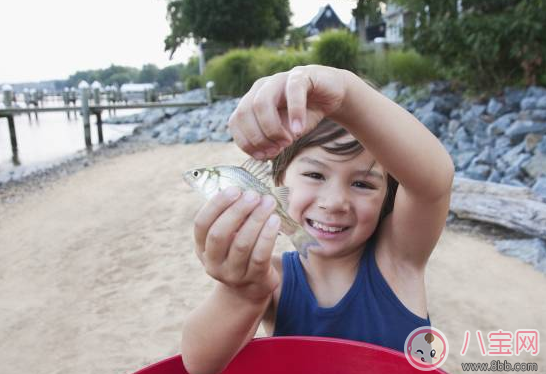 孩子暑假怎么安排 小朋友怎么過(guò)暑假比較好