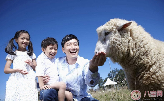 適合爸爸讀的胎教故事 準爸爸胎教的方式有哪些 適合爸爸讀的胎教故事 準爸爸胎教的方式有哪些