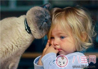 寶寶是熊孩子怎么辦？如何教育孩子不要妨礙他人呢？