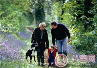 趙薇如何教育出乖巧小四月？趙薇的育兒經(jīng)是什么？