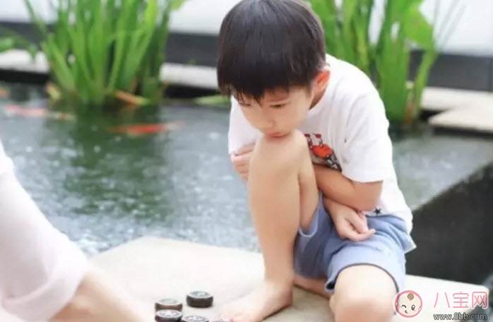 孩子學(xué)下棋的最佳年齡 孩子學(xué)象棋圍棋國(guó)際象棋哪種好