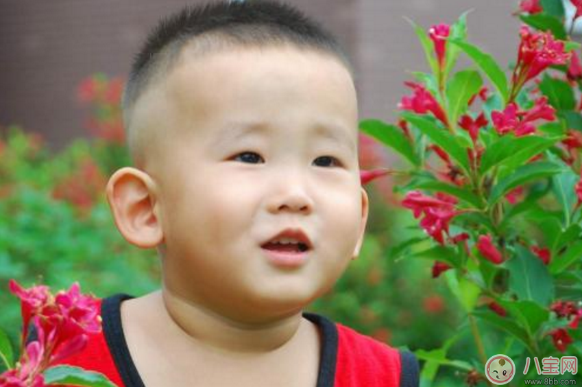 孩子膽小這樣做可以鍛煉膽子 勇敢的孩子氣質(zhì)好