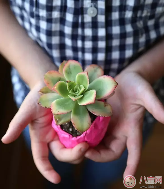 外面下雨了孩子不能出去玩 試試做這些事情吧