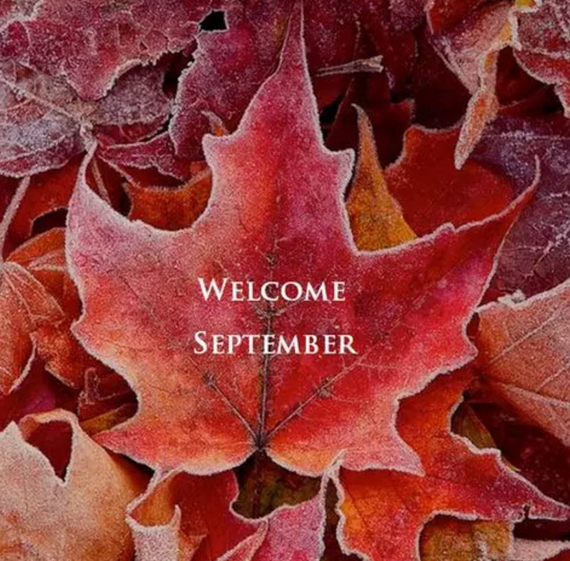 八月再見九月你好說說朋友圈 八月再見九月你好帶九月字圖片 八月再見九月你好說說朋友圈 八月再見九月你好帶九月字圖片