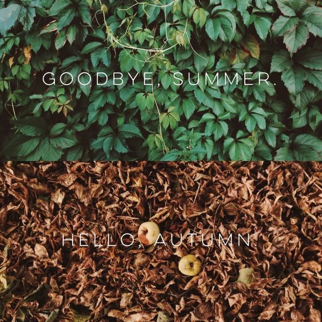 八月再見九月你好說說朋友圈 八月再見九月你好帶九月字圖片 八月再見九月你好說說朋友圈 八月再見九月你好帶九月字圖片