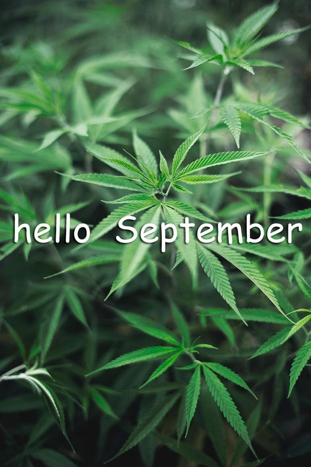 八月再見九月你好說說朋友圈 八月再見九月你好帶九月字圖片 八月再見九月你好說說朋友圈 八月再見九月你好帶九月字圖片