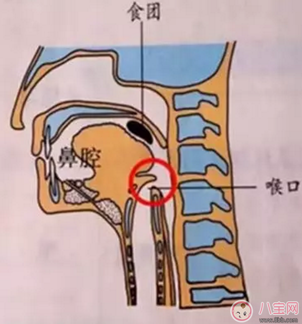 寶寶吃飯時(shí)爸爸的這個(gè)舉動(dòng) 險(xiǎn)些讓他送命！