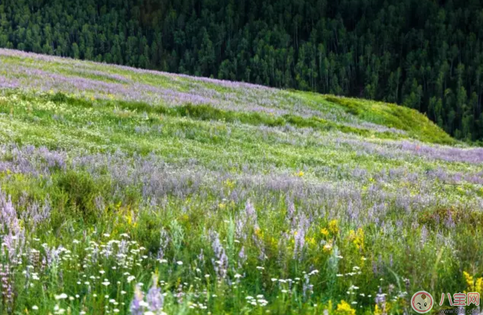 2017處女月七夕節(jié)自駕游旅游攻略