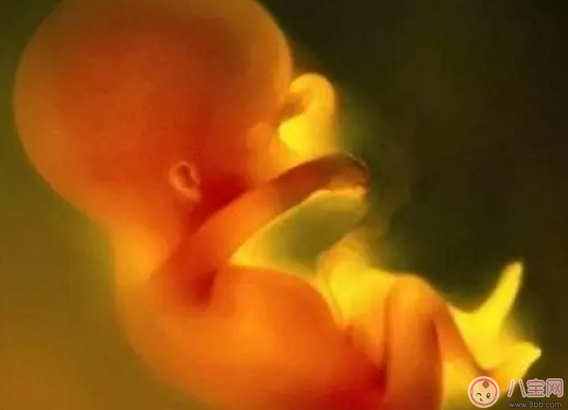 寶寶真的有胎前記憶嗎 孩子的胎前記憶怎么被喚醒