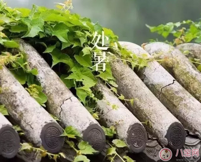 處暑養(yǎng)生吃什么處暑養(yǎng)生食譜 處暑養(yǎng)生短信祝福語 處暑養(yǎng)生吃什么處暑養(yǎng)生食譜 處暑養(yǎng)生短信祝福語