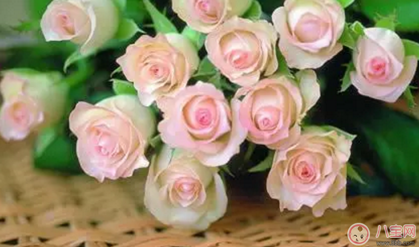 2017七夕節(jié)應(yīng)該送老婆什么禮物最有心？