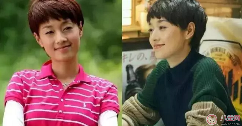 馬伊琍的前半生碰到夏琳 受半生遇見(jiàn)子君