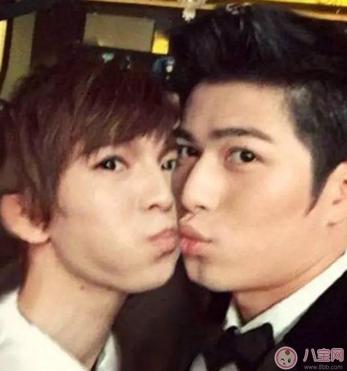 金絲雀是什么梗 郭敬明的金絲雀是誰(shuí)(金絲雀事件關(guān)系梳理) 金絲雀是什么梗 郭敬明的金絲雀是誰(shuí)(金絲雀事件關(guān)系梳理)